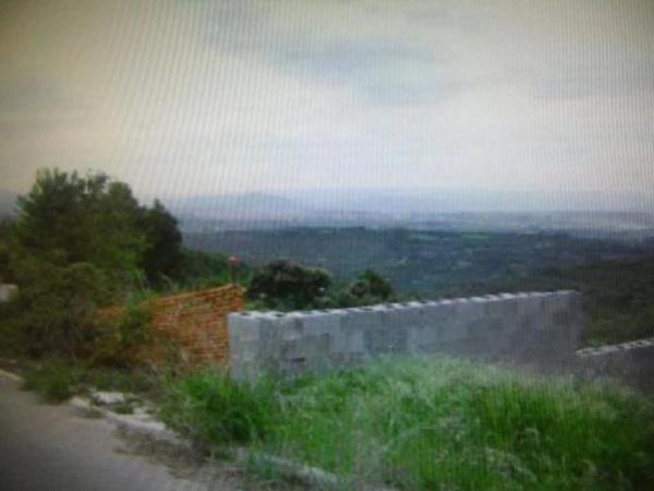Terreno en calle de la Llebre thumbnail 2