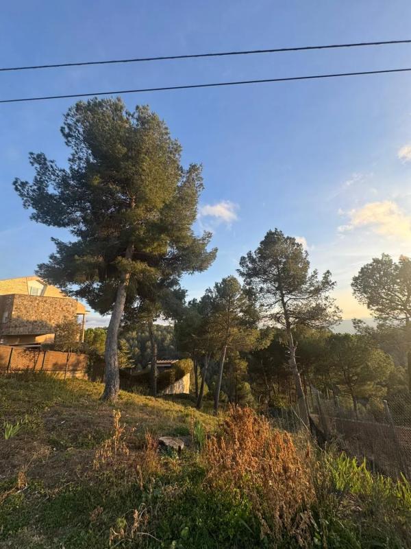 Terreno en venta en Castellnou de Bages, Barcelona photo 1