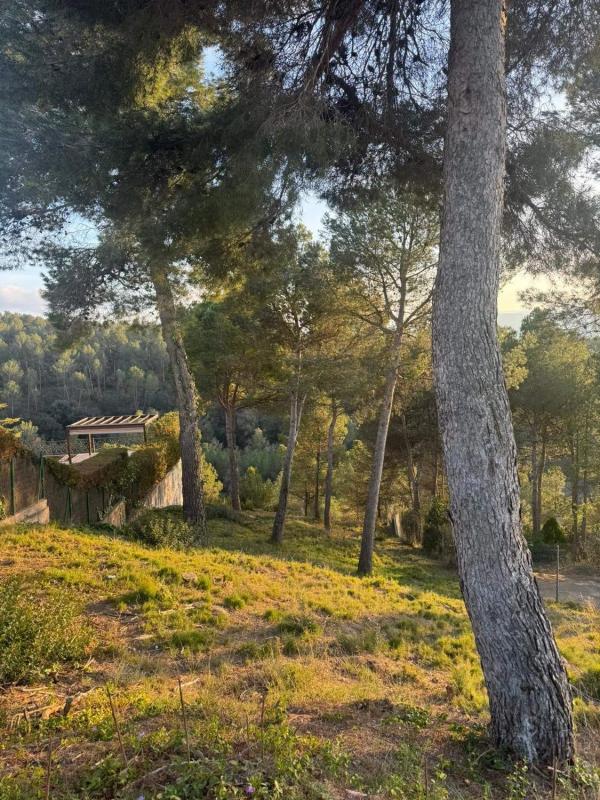 Terreno en venta en Castellnou de Bages, Barcelona photo 2
