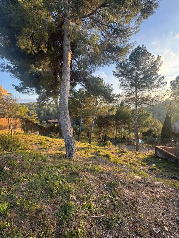 Terreno en venta en Castellnou de Bages, Barcelona photo 3