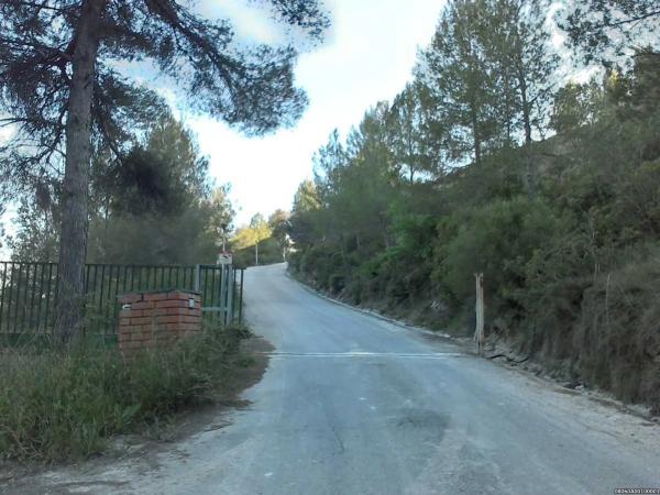 Terreno en camino de La Pedrera photo 2