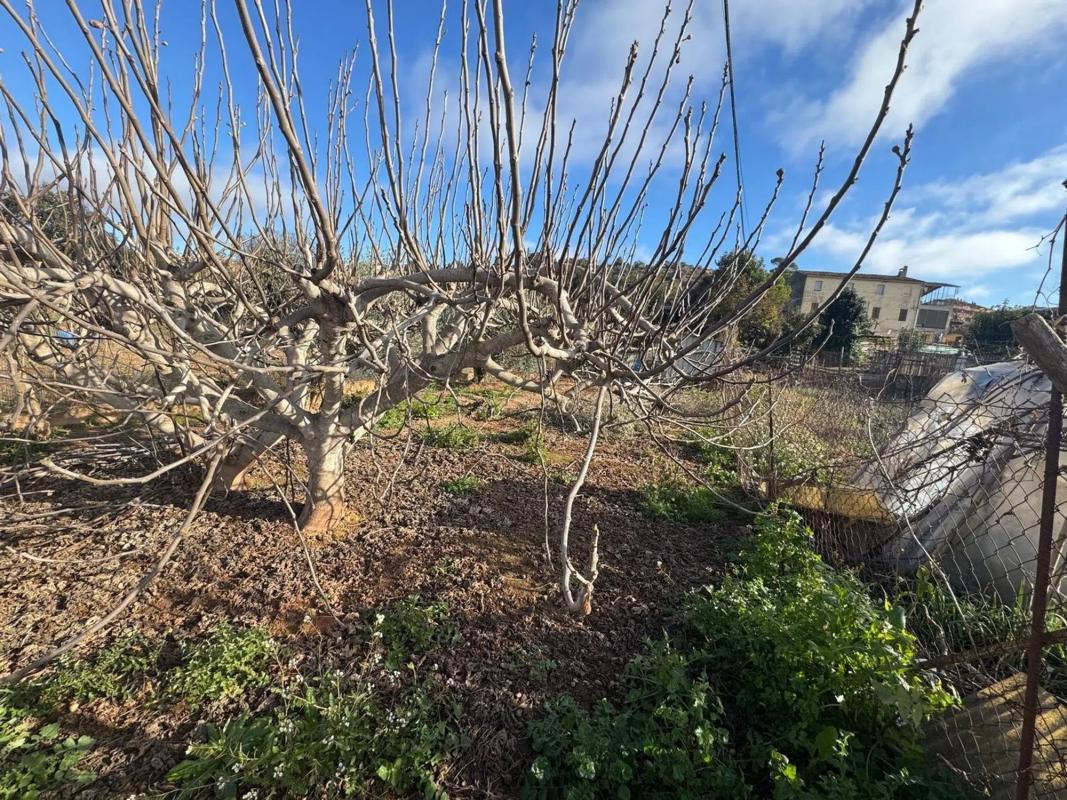 Terreno en venta en Manresa, Barcelona photo 5
