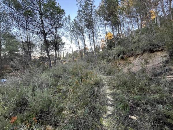 Terreno en calle de Can Prat, 61 thumbnail 1