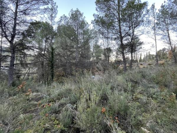 Terreno en calle de Can Prat, 61 thumbnail 2