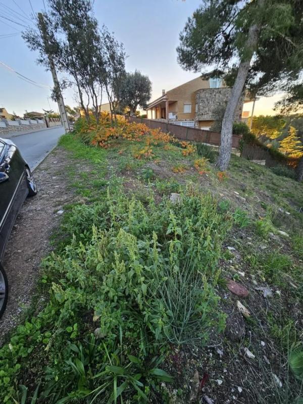 Terreno en venta en Castellnou de Bages, Barcelona photo 1