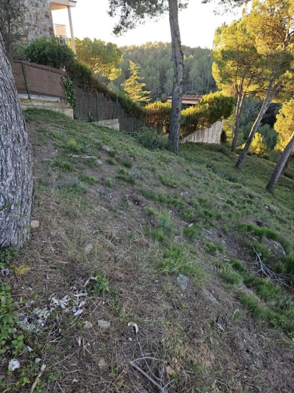 Terreno en venta en Castellnou de Bages, Barcelona photo 2