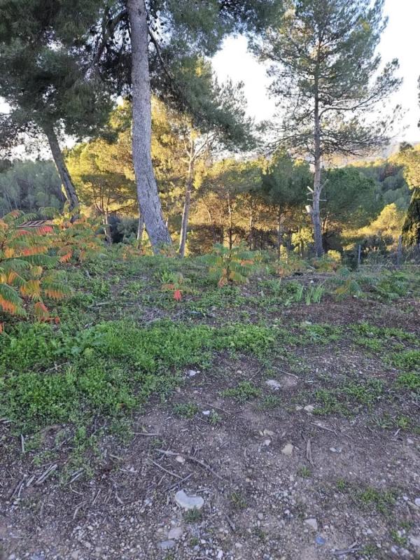 Terreno en venta en Castellnou de Bages, Barcelona photo 3