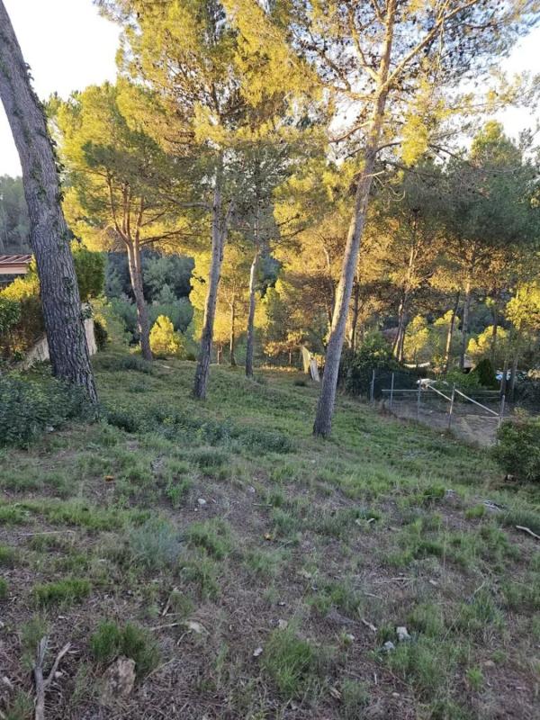 Terreno en venta en Castellnou de Bages, Barcelona photo 4