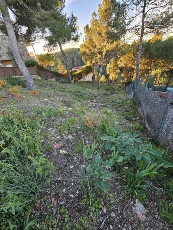 Terreno en venta en Castellnou de Bages, Barcelona photo 5