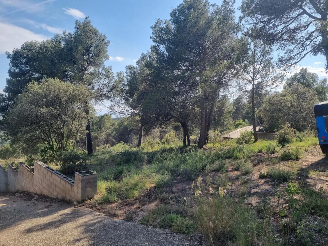 Land for sale in Castellnou de Bages, Barcelona photo 2