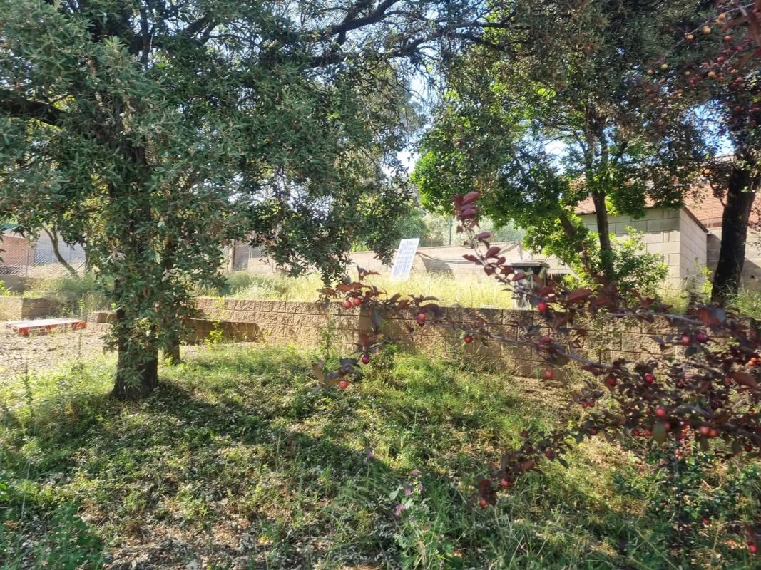 Land for sale in Castellnou de Bages, Barcelona photo 3