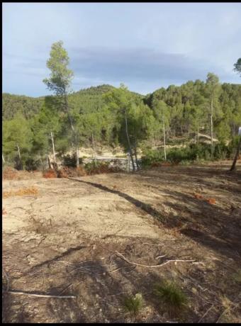 Terreno en calle Joan Maragall, 14 photo 4