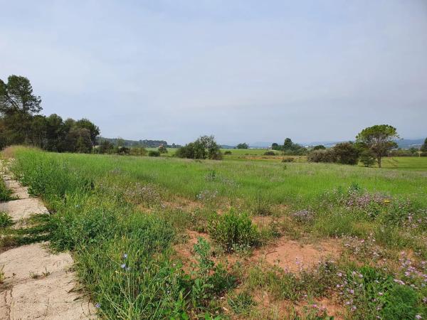 Terreno en calle Manresa, 1 photo 1