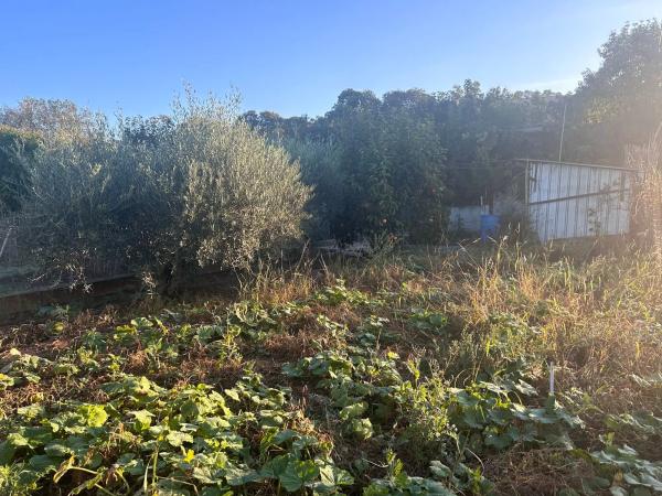 Terreno en calle de Joan Maragall, 1 photo 2