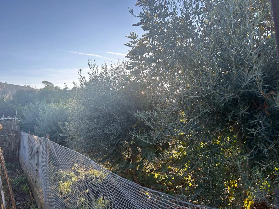 Terreno en venta en Manresa, Barcelona photo 4