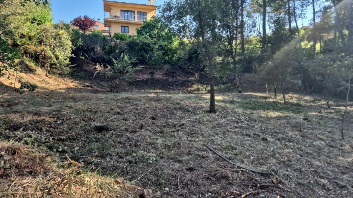 Terreno en venta en Castellnou de Bages, Barcelona photo 4