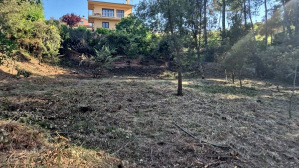 Terreno en calle de l'Obaga, 1  | 52 photo 4