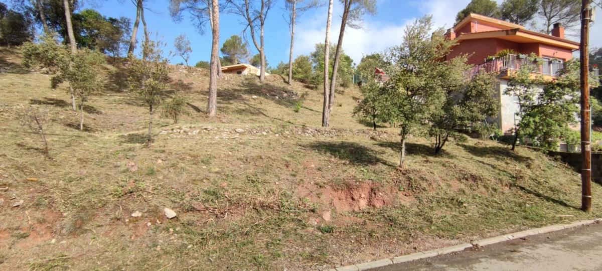 Land for sale in Castellnou de Bages, Barcelona photo 4