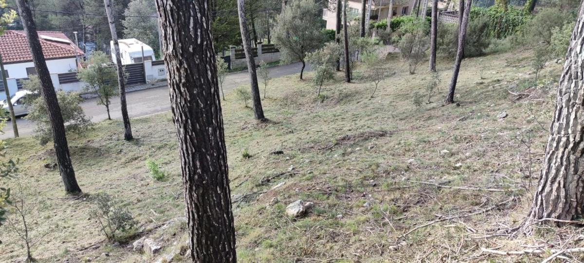 Land for sale in Castellnou de Bages, Barcelona photo 5