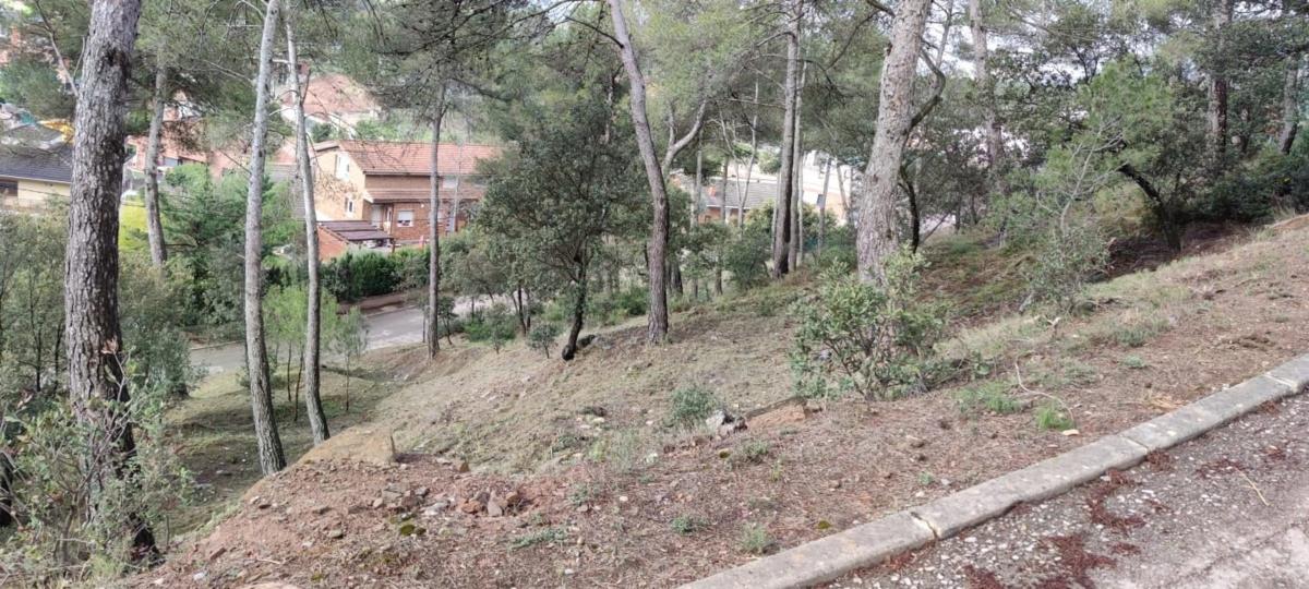 Terreno en venta en Castellnou de Bages, Barcelona photo 3