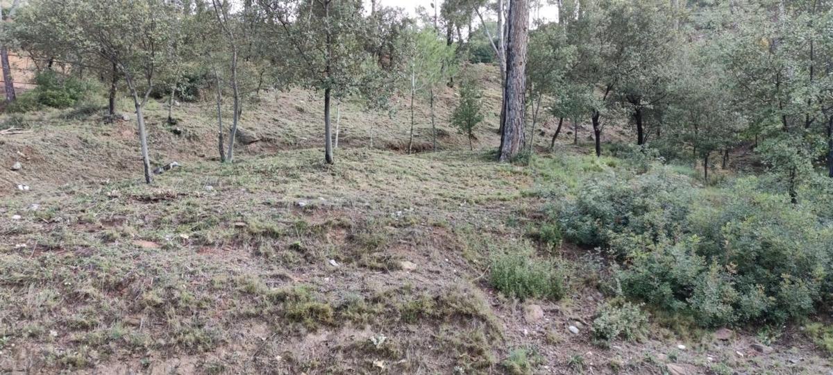 Terreno en venta en Castellnou de Bages, Barcelona photo 4