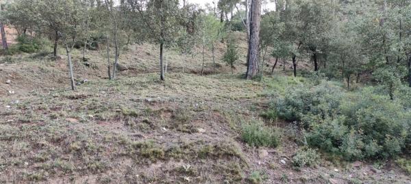 Terreno en camino l,Ermita de Lurdes, 87 photo 4