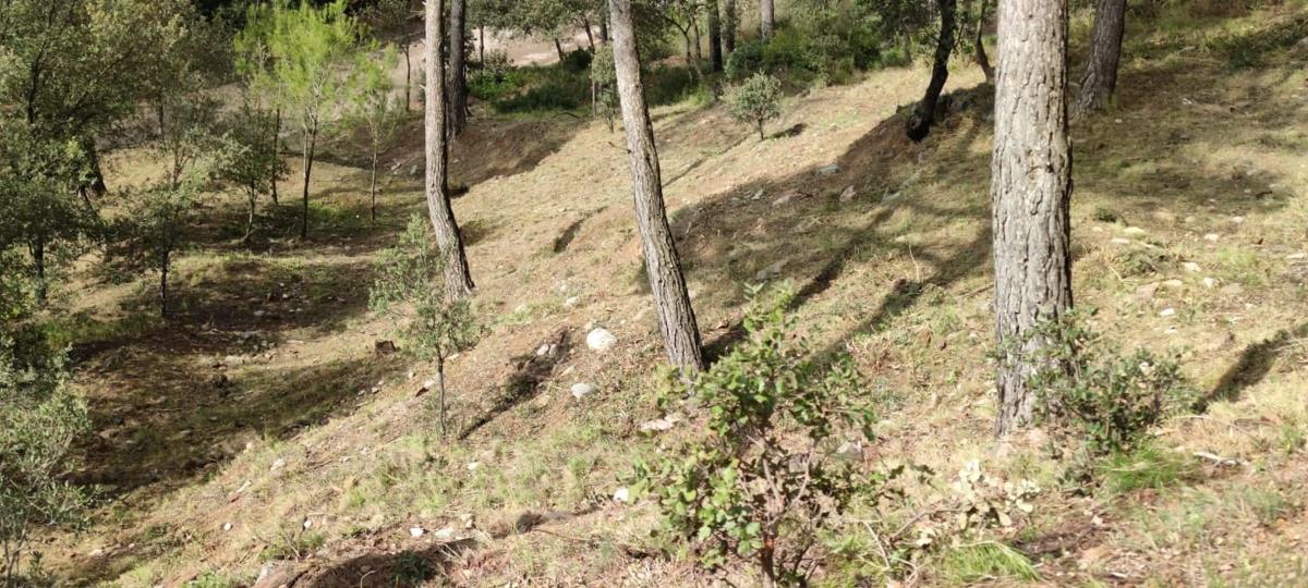 Terreno en venta en Castellnou de Bages, Barcelona photo 5