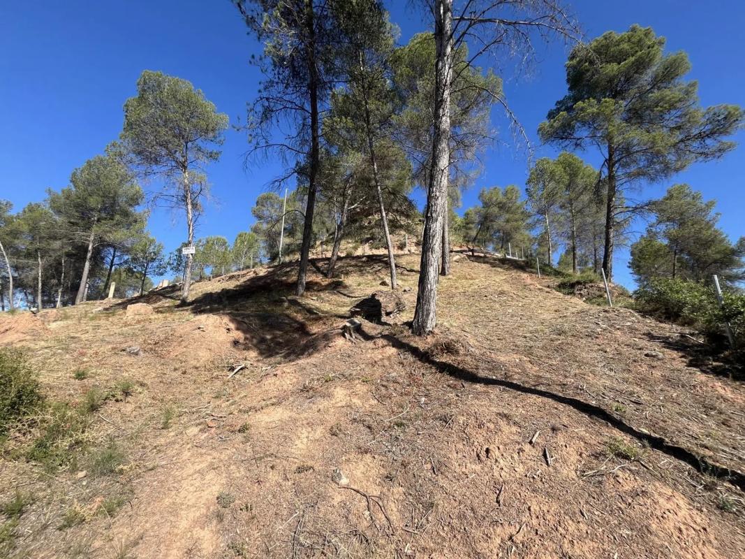 Terreno en venta en Fonollosa, Barcelona photo 1