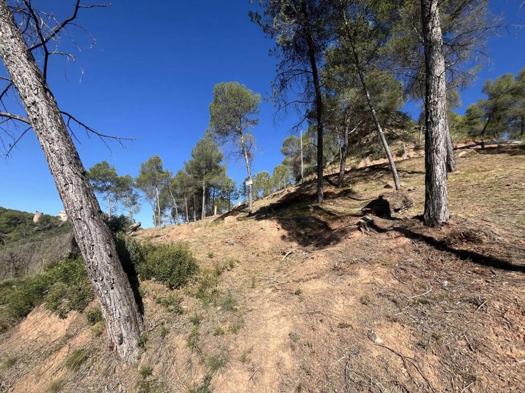 Terreno en venta en Fonollosa, Barcelona photo 2
