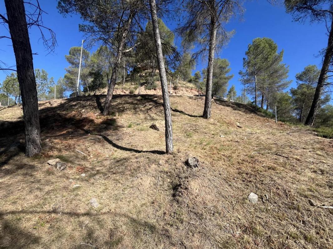 Terreno en venta en Fonollosa, Barcelona photo 3