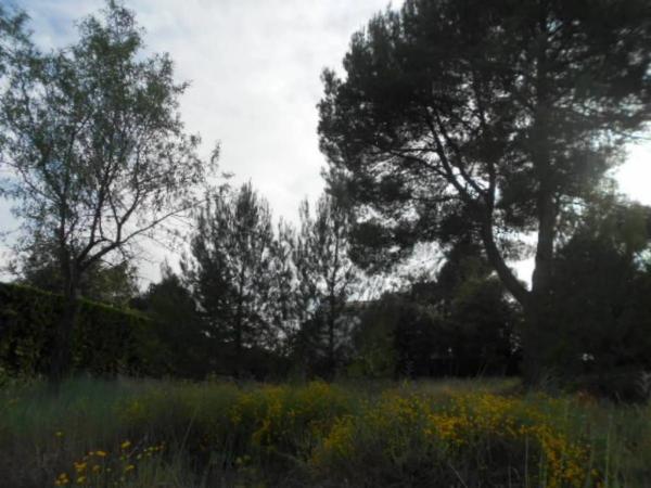 Terreno en Sant Fruitós de Bages photo 1
