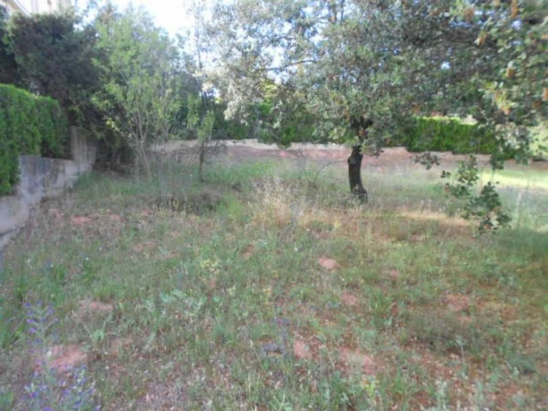 Land for sale in Sant Fruitós de Bages, Barcelona photo 3