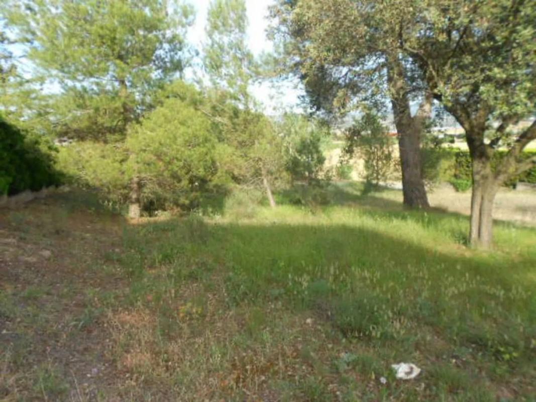 Land for sale in Sant Fruitós de Bages, Barcelona photo 5