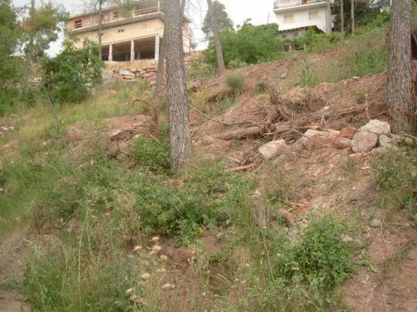 Terreno en Sant Fruitós de Bages photo 3