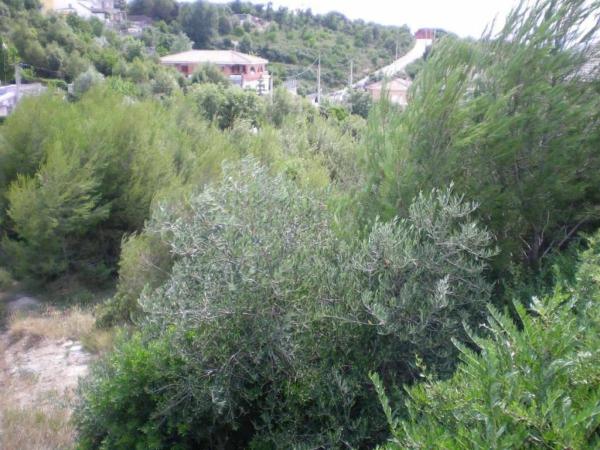 Terreno en El Pont de Vilomara i Rocafort photo 1