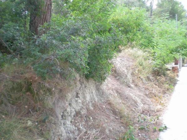 Terreno en Castellgalí photo 1