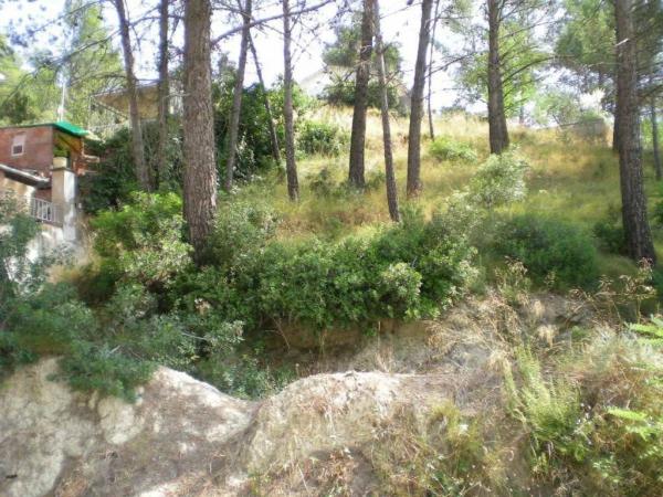Terreno en Castellgalí photo 4