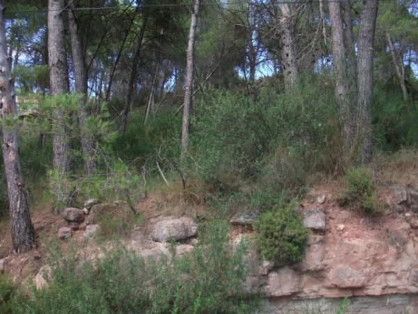 Terreno en Sant Fruitós de Bages photo 1