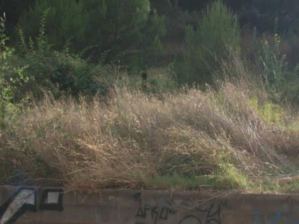 Terreno en Súria photo 2
