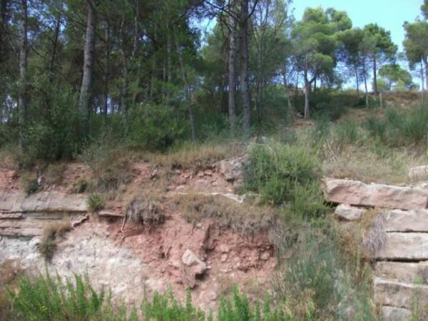 Terreno en Sant Fruitós de Bages thumbnail 1