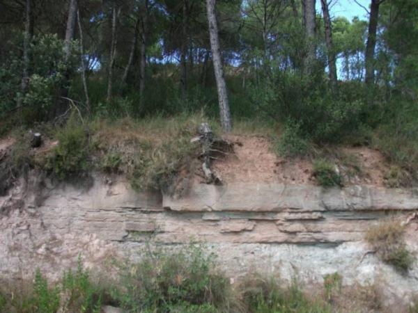 Terreno en Sant Fruitós de Bages thumbnail 2