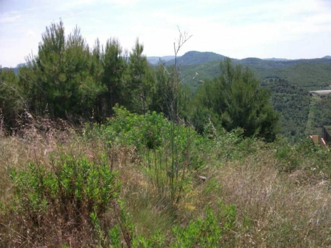 Terreno en venta en El Pont de Vilomara i Rocafort, Barcelona photo 1