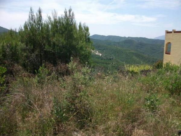 Terreno en El Pont de Vilomara i Rocafort photo 2