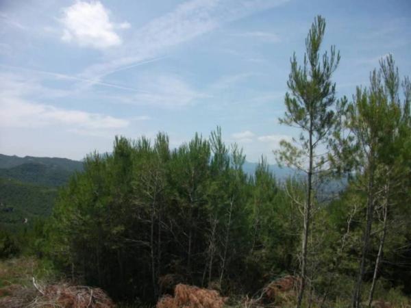 Terreno en El Pont de Vilomara i Rocafort photo 2