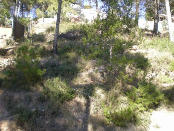 Terreno en Castellnou de Bages photo 1