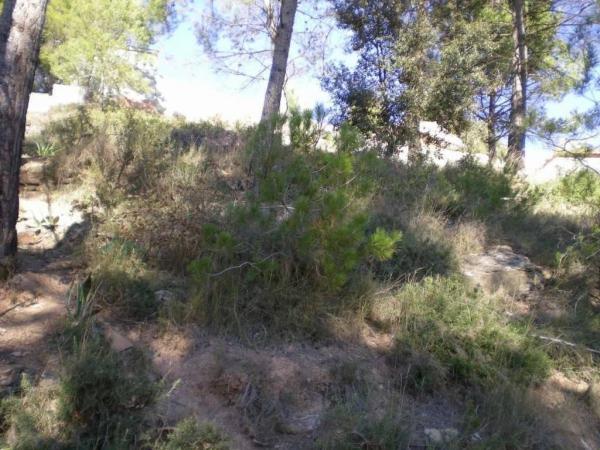 Terreno en Castellnou de Bages photo 2