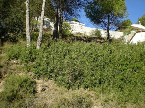 Terreno en Castellnou de Bages photo 3