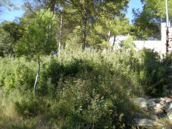 Terreno en Castellnou de Bages photo 4