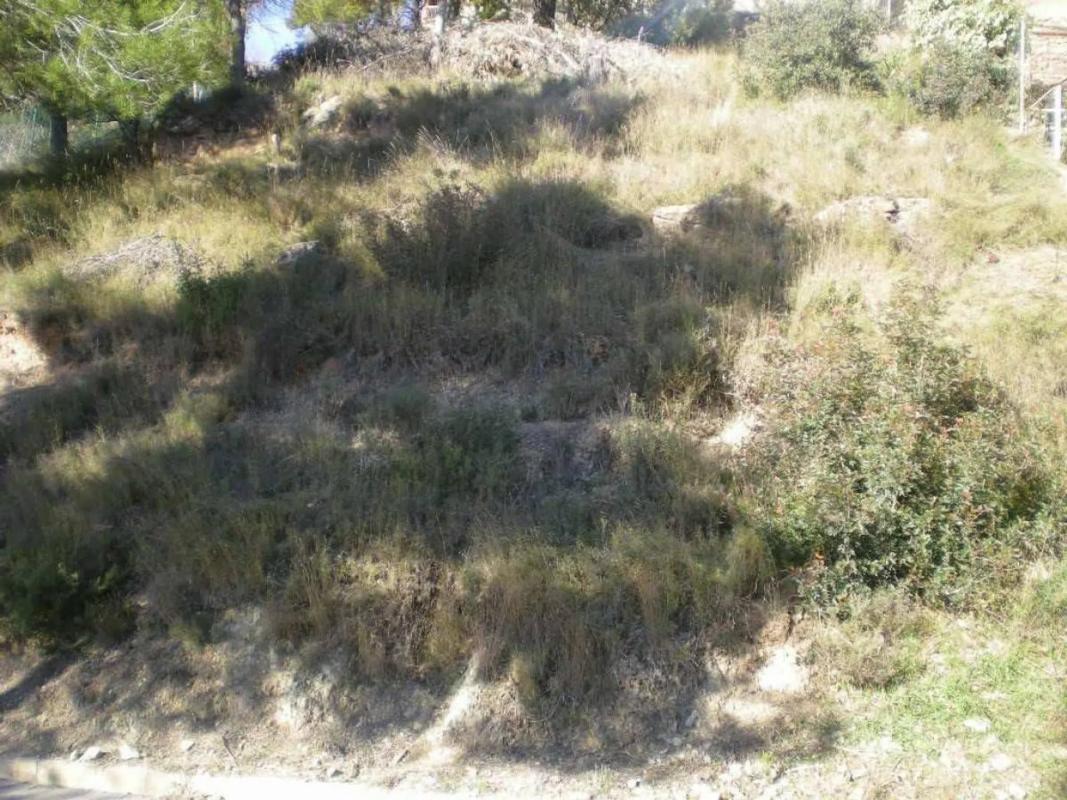 Land for sale in Castellnou de Bages, Barcelona photo 2