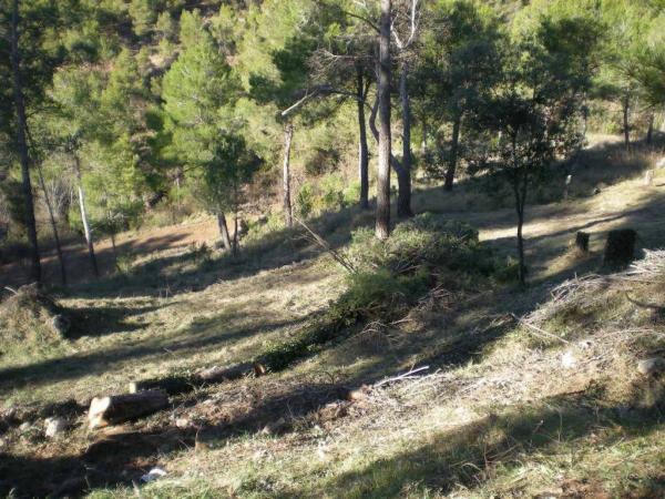 Terreno en Castellnou de Bages photo 1